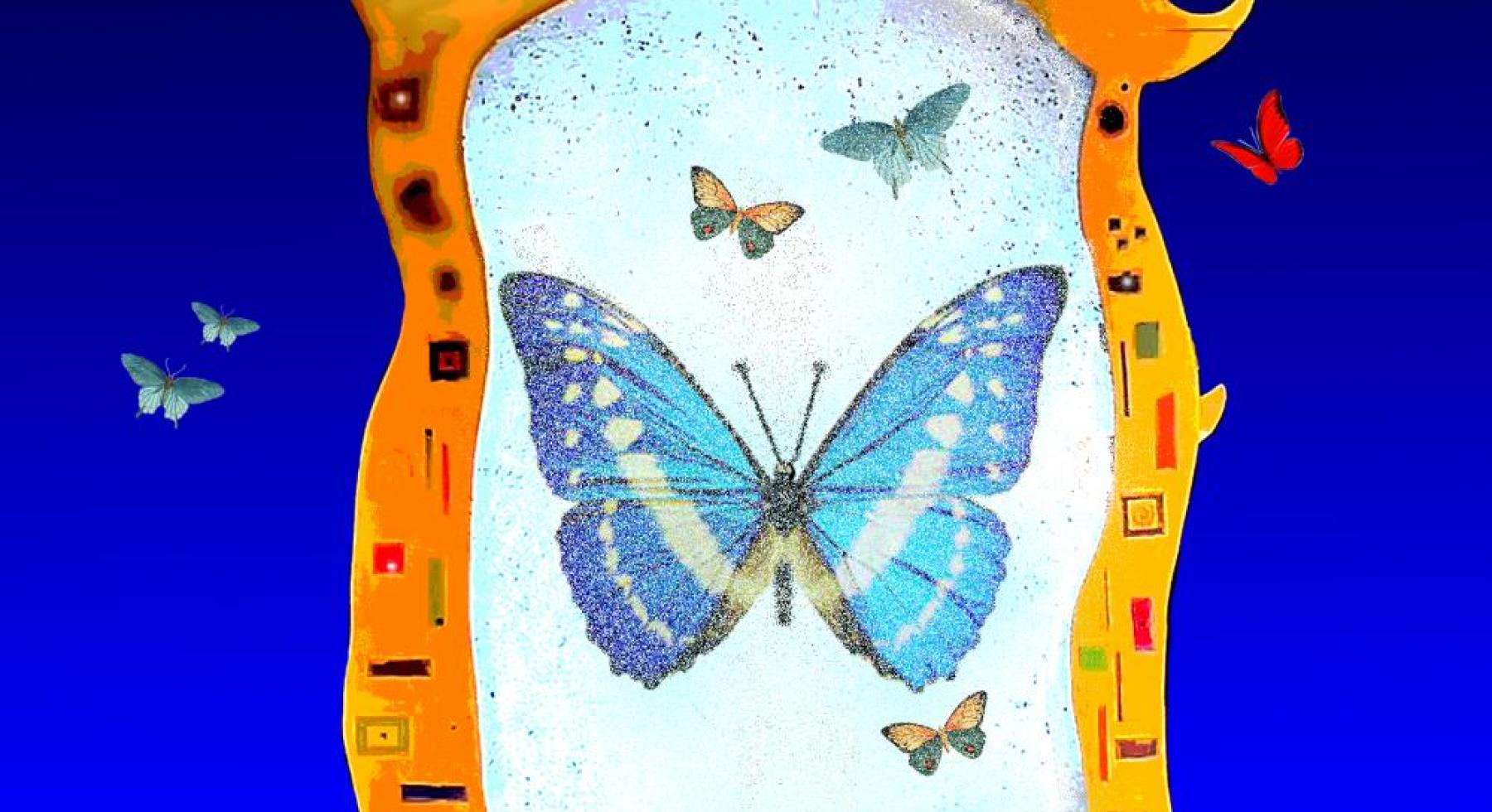 poster van het vlinderhuis